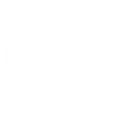 Grupo Modelo