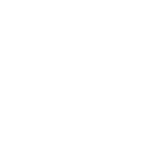 Viva Logo